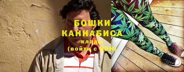 крисы Аркадак