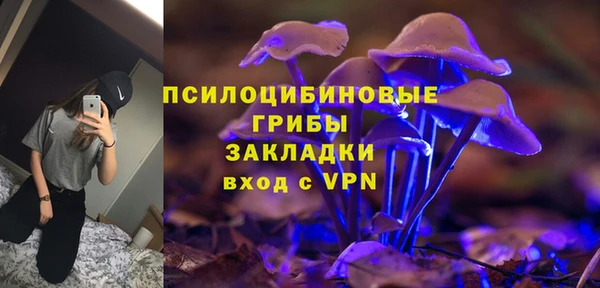 крисы Аркадак