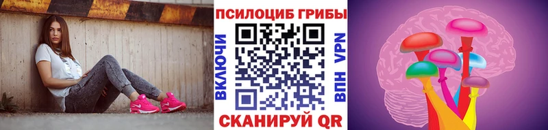 Псилоцибиновые грибы прущие грибы  сколько стоит  Верхний Тагил 