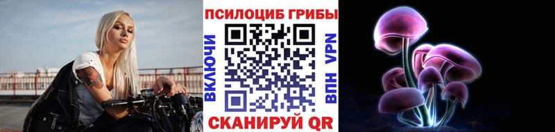 Псилоцибиновые грибы Psilocybe Верхний Тагил